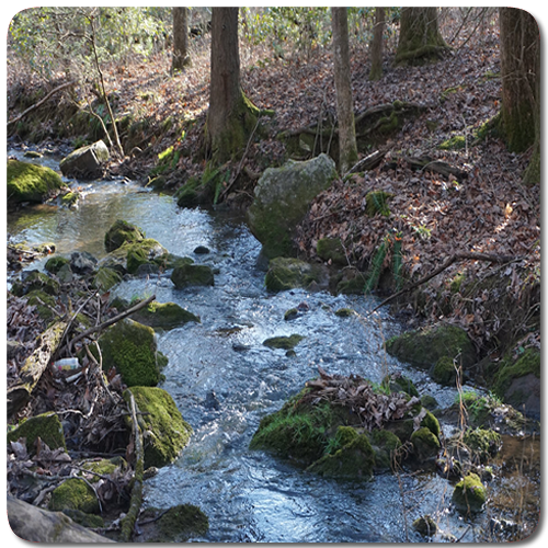 Cascading Creek.fw