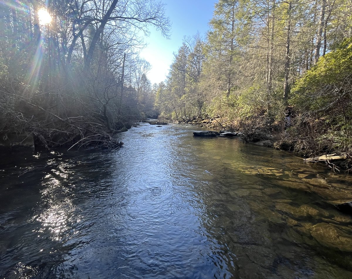 creek 4
